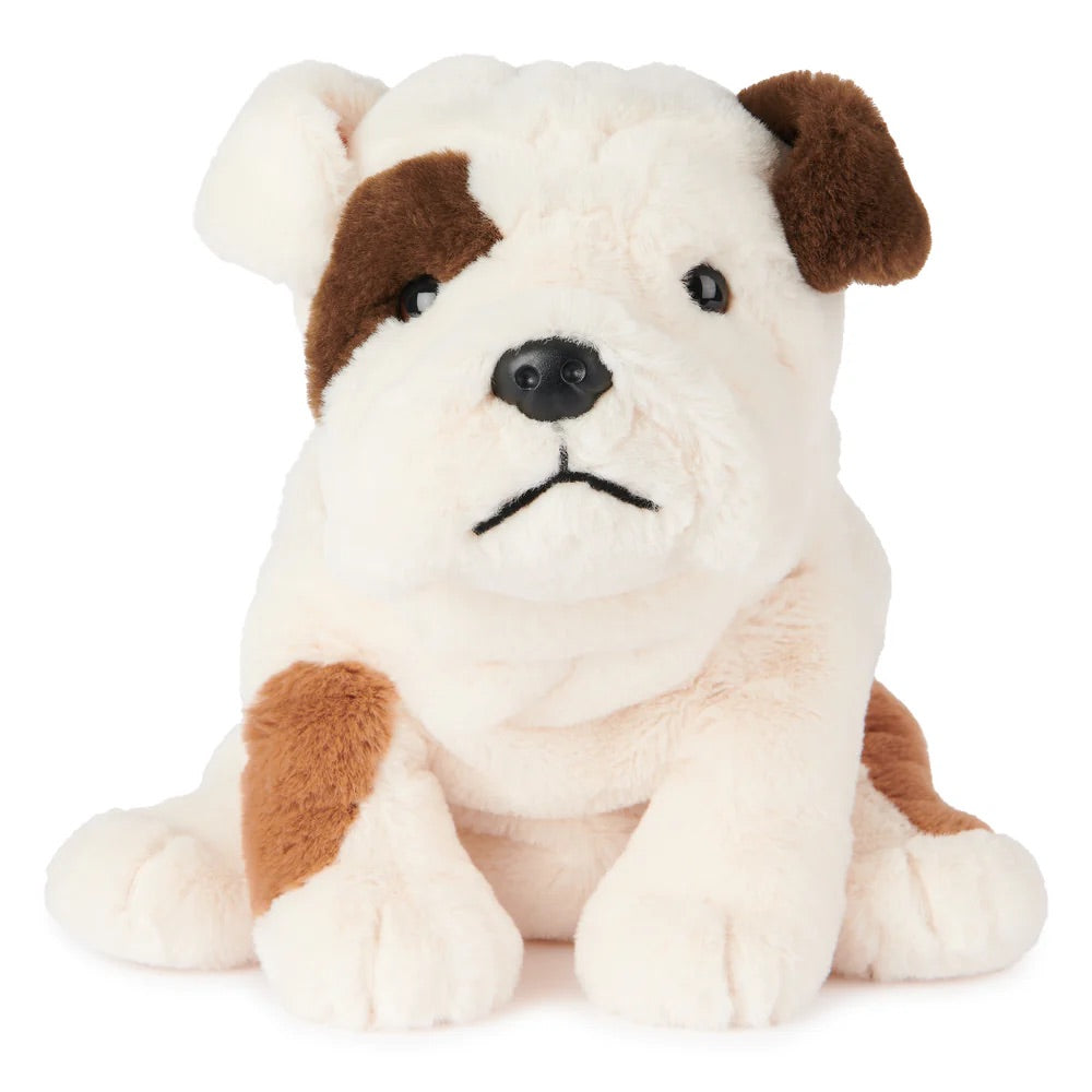 Toast Bulldog Puppy