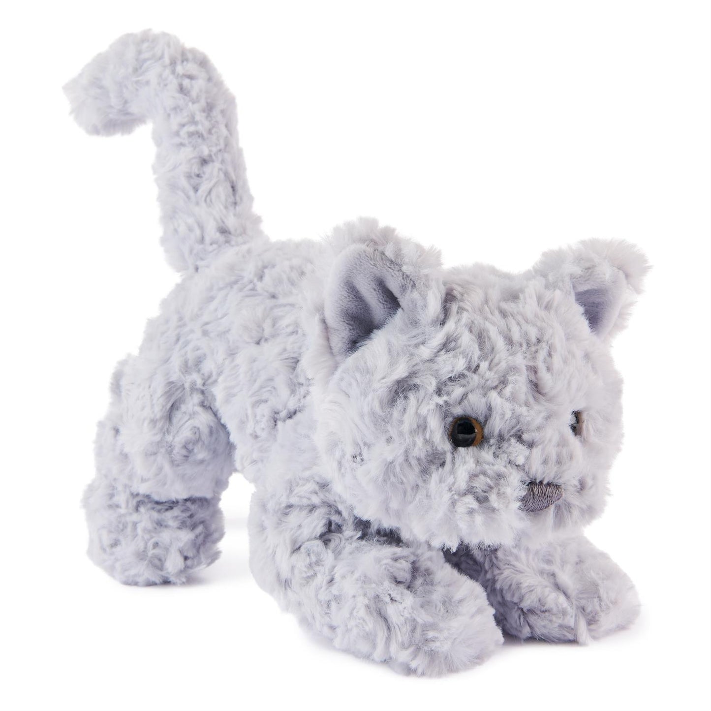 Bootsie English Blue Cat