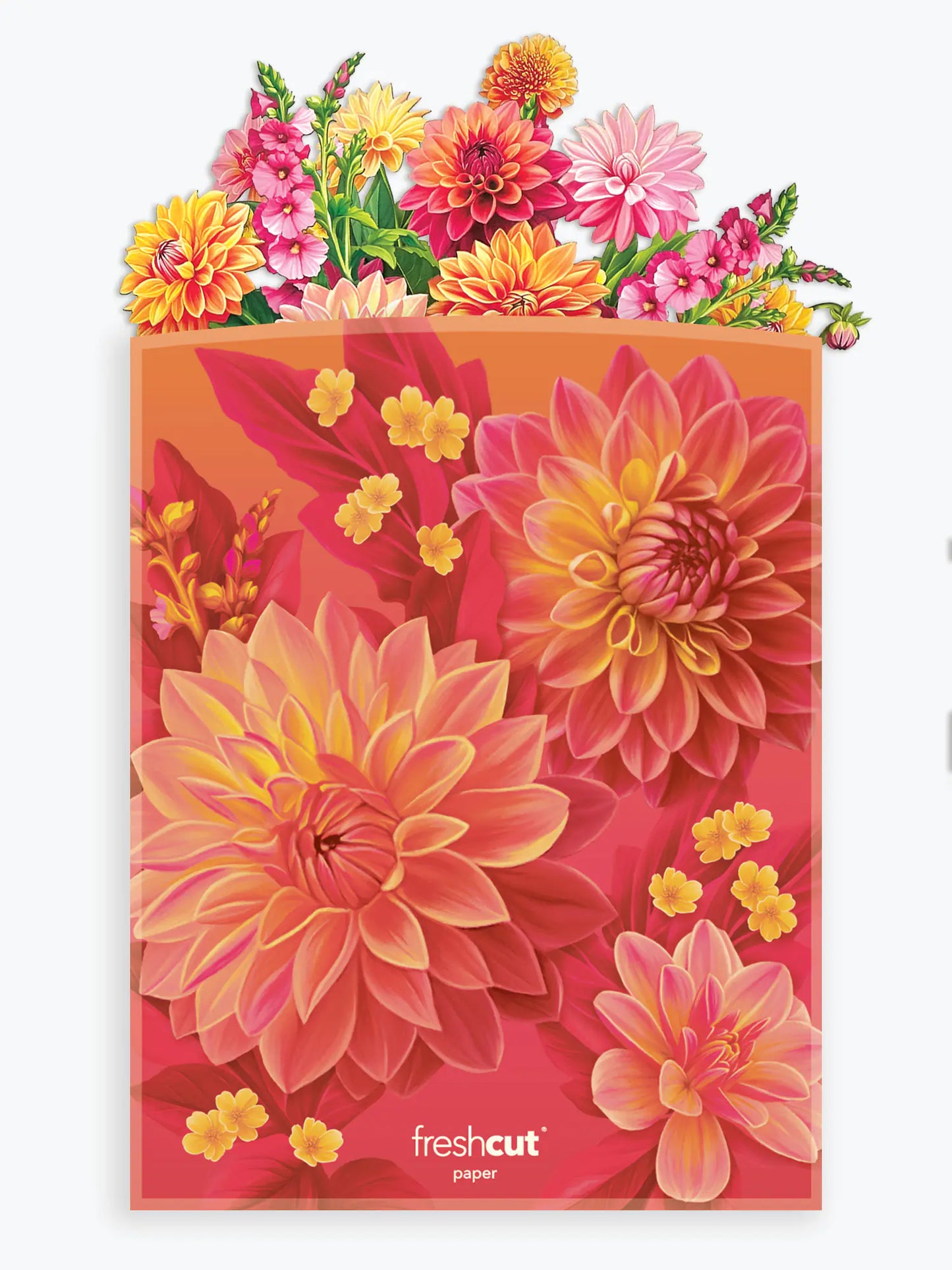 Fresh Cut Paper Flowers
