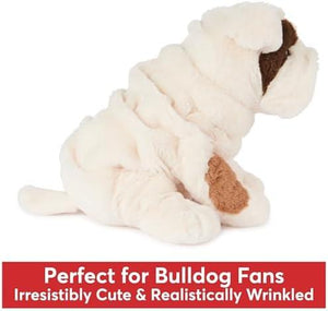 Toast Bulldog Puppy